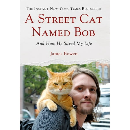 A Street Cat Named Bob : And How He Saved My Life