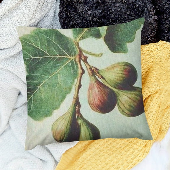 ZFLMY 100% Linen Pillow Covers Figs Decor Indoor Decoration Set 18x18in
