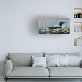 thumbnail image 2 of Trademark Fine Art Wilhelm Goebel Loon In Reeds Canvas Wall Art - 12x24, 2 of 5