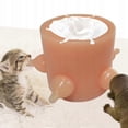 thumbnail image 5 of Puppy Feeders, 5 Teats, Feeding Bottles For Puppies, 5 of 5