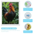 thumbnail image 3 of Diamond Art Kits for Adults - Rooster Vibrant Plumes Rain Garden 5d Diamond Painting for Adults, Diamond Art for Adults Beginners, Frameless Diamond Painting Kits for Adults for Home Wall Decor, 3 of 7