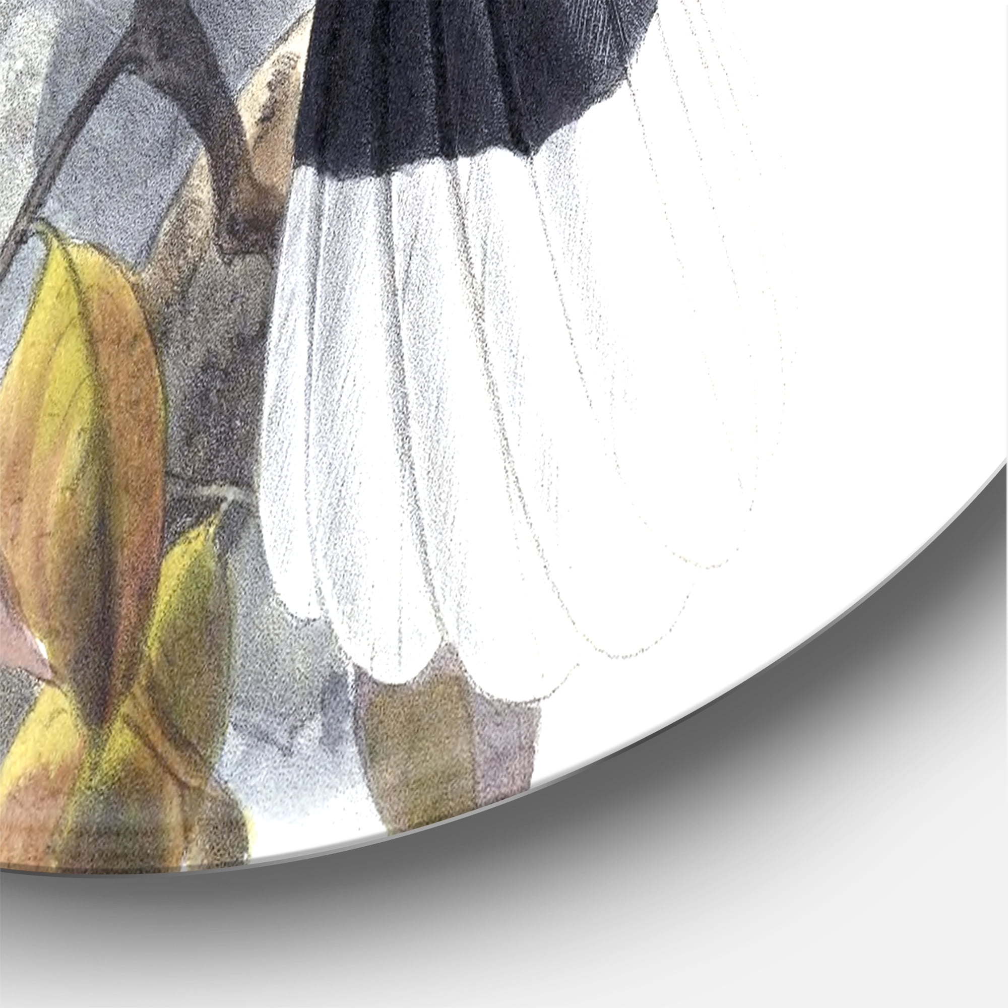 Designart 'Ancient Bird Illustration I' Traditional Circle Metal Wall Art 36x36 - Disc of 36