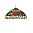 thumbnail image 2 of 18 Inch Wide roses & scrolls Pendant.603, 2 of 2