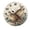 FFclock091, variant on ZXCXRQFa Silent Clocks Summer Pineapple Fruit Wall Clock Silent 10 Inch Round Decorative Battery Operated Non Ticking Wood Quiet Clocks for Bedroom Office School Home