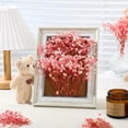 thumbnail image 7 of Dried Babys Breath Flowers Bouquet,Preserved Baby's Breath,Dried Pink Gypsophila Branches,Long Lasting Flowers,Dry Flowers Bulk for Wedding Valentine's Day DIY Headdress Wreath Floral Vase,50 Pcs 5'', 7 of 7