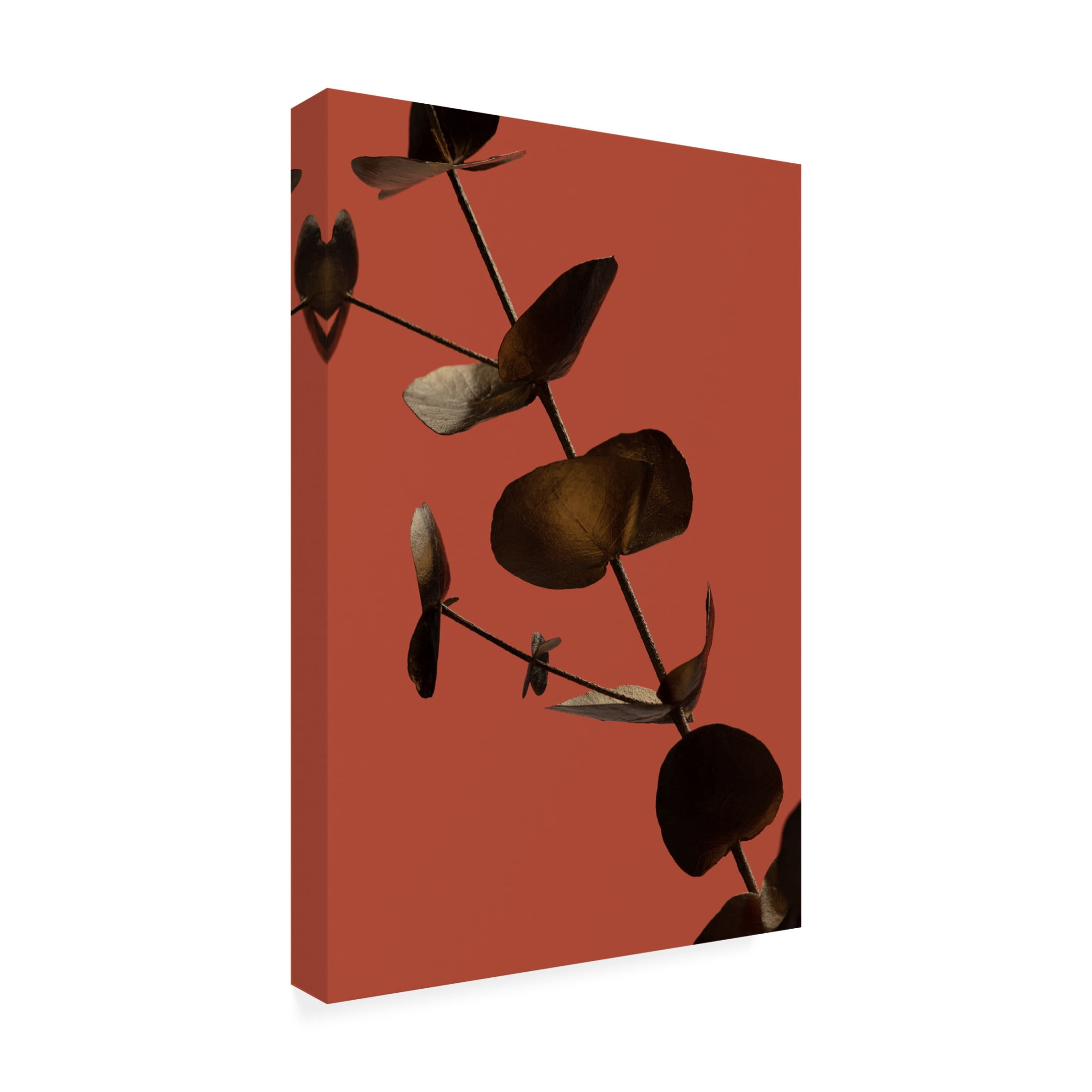 Canvas Wall Art - Pictufy Studio Iii 'Eucalyptus Gold Rust 03' Wall Art for Living Room, Bedroom, or Office D?cor by Trademark Fine Art - 16 x 24 Inches