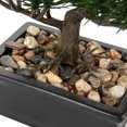 thumbnail image 4 of GnFlus 6 inch Artificial Bonsai Tree Juniper Faux Plants Indoor Small Fake Plants Decor with Ceramic Pots for Office Desk Table Home Decor, 4 of 7