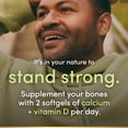 thumbnail image 3 of NATURE'S BOUNTY Calcium Plus Vitamin D3, Absorbable, 1200 mg, Helps Development Of Bones & Teeth, Helps Absorption & Use Of Calcium & Phosphorus, May reduce risk of developing Osteoporosis, Value Size, 3 of 6