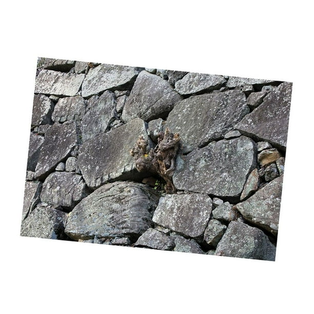 Póster Adhesivo de PVC Yuyangstore Fondo de Acuario Estilo Piedra 61x41cm
