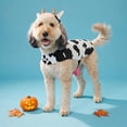 thumbnail image 2 of Vibrant Life Halloween Cow Costume for Dogs, Black and White, M, 2 of 6