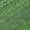 Fern, variant on Addison Rugs Chantille Indoor/Outdoor Transitional Stripes Aloe Washable Runner Rug, 2'3" x 7'6"