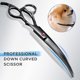 thumbnail image 4 of 7.0in Stainless Steel 6 In 1 Professional Dog Grooming Scissors Kit, Heavy 4cr Titanium Coated Strai, 4 of 5
