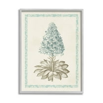 Stupell Industries Vintage Plant Nature Study Graphic Art Gray Framed Art Print Wall Art, Design by Vision Studio