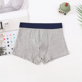 Boys Long Leg Boxer Briefs with Comfort Flex® Waistband 5-Pack