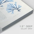 thumbnail image 3 of Blue Marine Algae V Premium Gallery Wrapped Canvas - Ready to Hang, 3 of 9