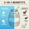 thumbnail image 4 of Paquetes de hidratación 2 en 1 Salud + polvo de electrolitos de inmunidad, horchata - mezcla de bebida Jamaica Agua Fresca, saúco, sin lácteos ni soja, sin OGM, sin gluten, vegano, bajo en calorías, 1, 4 of 5
