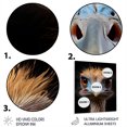 thumbnail image 3 of Designart "African Long-legged Likeness Ostrich" Animals Metal Wall Art Prints, 3 of 5