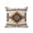 Brown, variant on Outdoor Pillows Waterproof, Southwest Bedding Throw Pillows with Insert for Couch Sofa Bed, Brown Bohemian Abstract American Aztec 18x18 Inch Pillowcases Decorative Camping Patio Pillow Set of 1