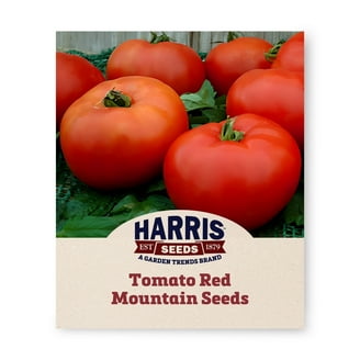 Tomato Red Snapper F1 Seed - Walmart.com
