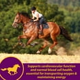 thumbnail image 3 of Horse Health Red Cell Iron-Rich Vitamin Supplement Pellets for Horses 4 lbs. 64-Day Supply, 3 of 12