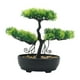 thumbnail image 1 of Bonsái Artificial Planta Falsa Decorativa Bonsái Mesa Potted PP Apariencia Natural Fácil Cuidado Adecuado para Oficina Dormitorio Escritor, 1 of 9
