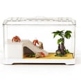 thumbnail image 1 of Transparent Turtle Viewing Tank - Desktop Aquarium for Feeding and Observation, 1 of 5