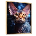 thumbnail image 2 of Designart "Dreamy Devon Rex Cat" Animals Cat Floater Framed Wall Art Living Room, 2 of 5