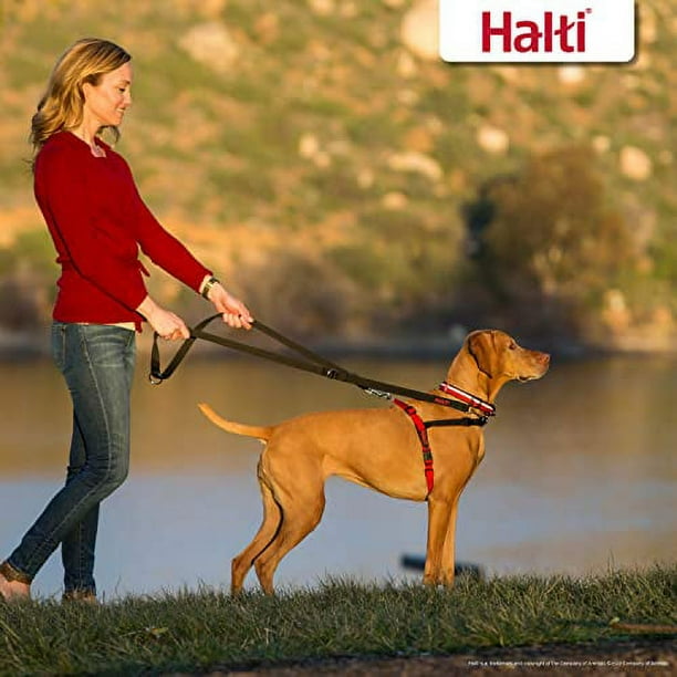 Dog harness halti 2025
