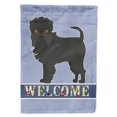 thumbnail image 1 of Carolines Treasures CK3632GF Affenpinscher Welcome Garden Size Flag, 1 of 3