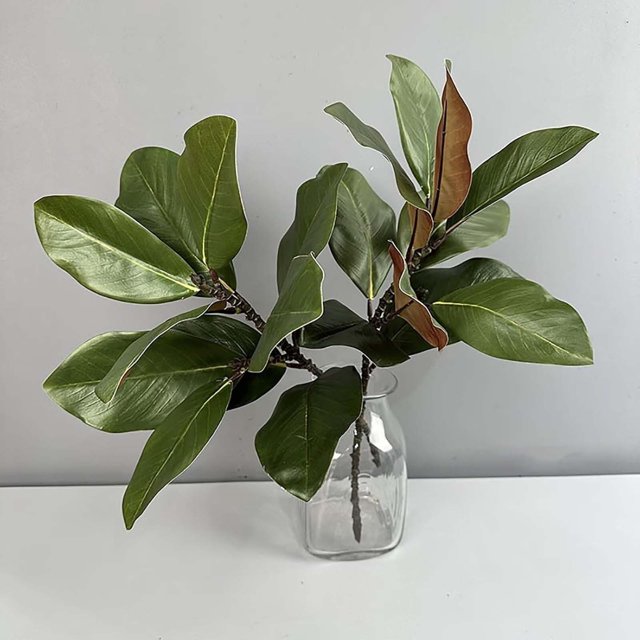 Hbdhejl 2 Pcs Branches de Magnolia Factices Présentant des Feuilles de Magnolia Vertes Réalistes avec des textures Détaillées et des Dessous Bruns Naturels. les Branches Sont Exposées dans un vase en Verre Transparent sur une surface Blanche, Idéales pour la Déco de la Maison dans les Salons, Cuisines Ou Entrées. Ces Branches de Magnolia Artificielles Ont une Hauteur de 22,04 Pouces et Sont Fabriquées en Plastique durable, Offrant une solution Décorative Élégante et à Faible Entretien pour les Espaces Intérieurs et Extérieurs.