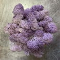 thumbnail image 2 of Artificial Green Moss Grass for Wall Decor - DIY Home Living Room Decorative Floral Accessory, 2 of 2