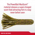 thumbnail image 5 of Berkley PowerBait® MaxScent Tube Fishing Soft Bait 2 1/2in | 6cm Breen Green, 5 of 6