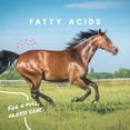 thumbnail image 4 of M S C Stf Cool Calories 100 8 Pounds - 31513, 4 of 4