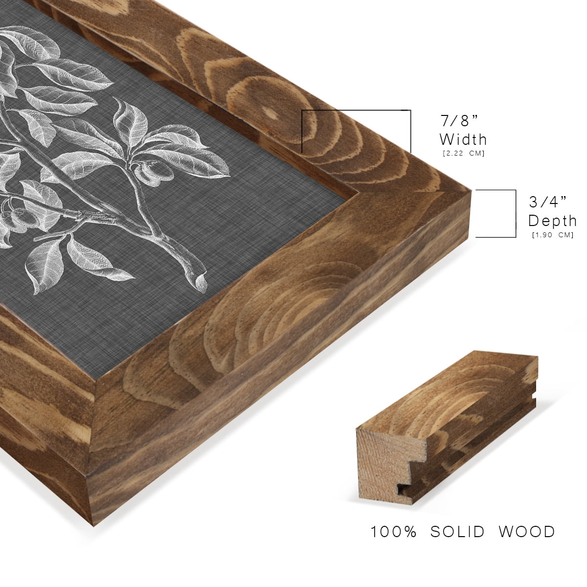 Graphic Foliage I - Framed Print w/glass - Walnut