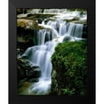 thumbnail image 2 of Leahy, Ike 15x18 Black Modern Framed Museum Art Print Titled - Lost Creek Falls, 2 of 5