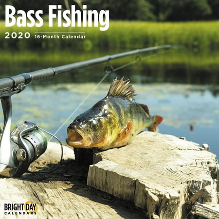 2020 Bass Fishing Wall Calendar 12 x 12 Inches