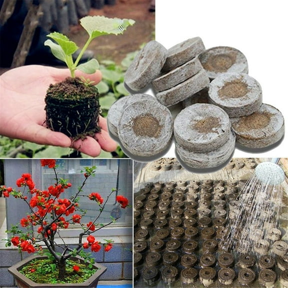 Seed Starter under $5! Yannianjz Seed Starting Plugs Pellets, 50PCS Biodegradable Nursery Blocks, Soil-Free Germination Pods, Plant Propagation Medium, Gardening Seed Starter