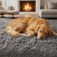 thumbnail image 5 of Rugs for Living Room, 6'x9' Soft Fluffy Area Rug for Bedroom, Plush Decorative Rug with Anti-Skid Backing, Indoor Home Carpet for Living Room, Grey, 5 of 5