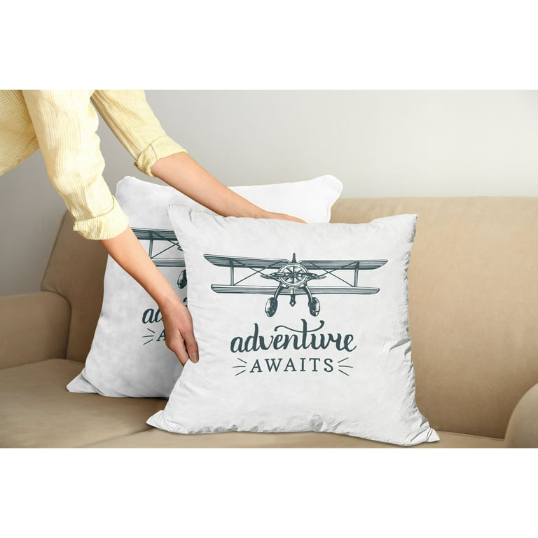 Pillow with airplane design outlet