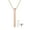 Rose Gold, variant on Ludlz Stainless Steel Memorial Keepsake Pendant Cremation Ash Urn Necklace with mini Funnel Pin Spoonfor Mens Womens
