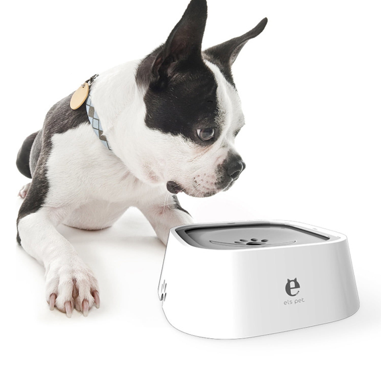 slow water feeder for dogs