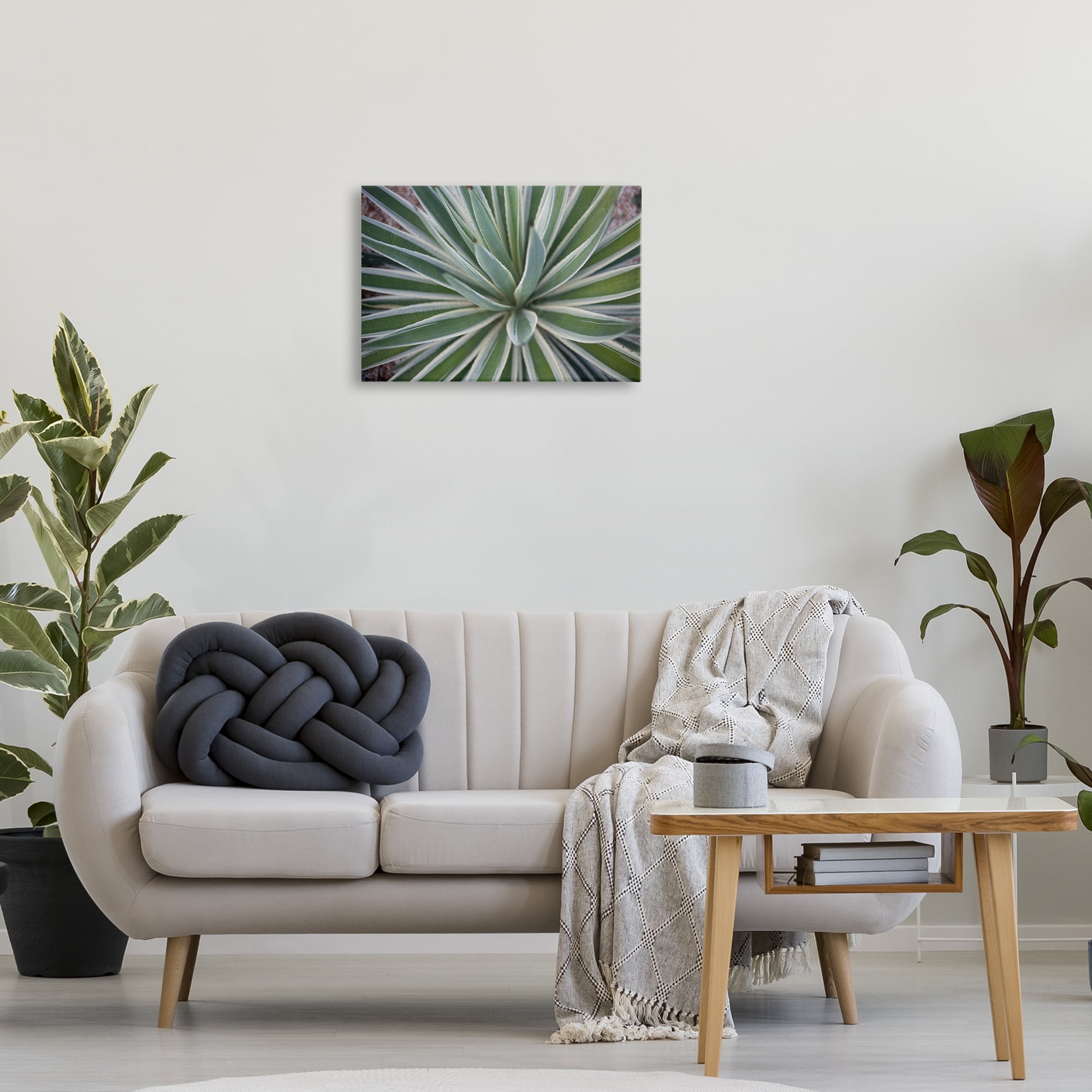 Stupell Industries Centric Succulent Leaves Botanical & Floral Photography Gallery Wrapped Canvas Art Print Wall Art, 24 x 16