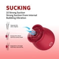 thumbnail image 4 of OCTMOM Rose Toys Rose Sex Toys Vibrators for Women G Spot Vibrator Partner Toys for Adult Pleasure Stimulator, Red, 4 of 8