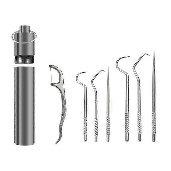 Flossing Metal Toothpicks Set Reusable Toothpicks Portable Toothpick Floss Teeth Cleaner Oral Care Cleaning Tools,b