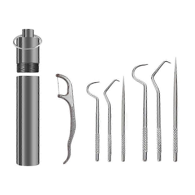 Flossing Metal Toothpicks Set Reusable Toothpicks Portable Toothpick Floss Teeth Cleaner Oral Care Cleaning Tools,b