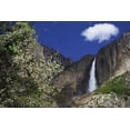 thumbnail image 2 of Flaherty, Dennis 24x17 White Modern Wood Framed Museum Art Print Titled - CA, Yosemite Apple tree and Upper Yosemite Falls, 2 of 4