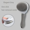 thumbnail image 1 of Pet Hair Remover Brush and Comb Grooming Tool for Dogs and Cats, 1 of 6