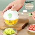 thumbnail image 2 of Mini picadora manual de ajo, procesador de alimentos portátil de mano para ajo, jengibre y chile, aparato de cocina eficiente para la preparación de alimentos., 2 of 7