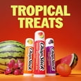 thumbnail image 3 of ChapStick Lip Balm Sticks - Tropical Treats Lip Balm Set - 3 Ct / 0.45 Oz ; Electric Tangerine, Fizzy Grape and Zingy Watermelon Lip Moisturizer, 3 of 10