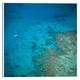 thumbnail image 1 of Cuadros Decorativos - Soledad Jr Canvas, 1 of 2